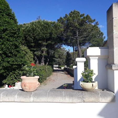 B&B Trulli E Mare Martina Franca Eksteriør billede